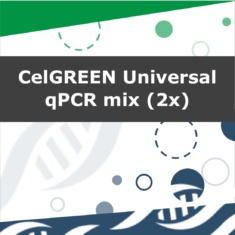 CelGREEN Universal qPCR mix (2x)