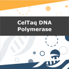 CelTaq DNA Polymerase