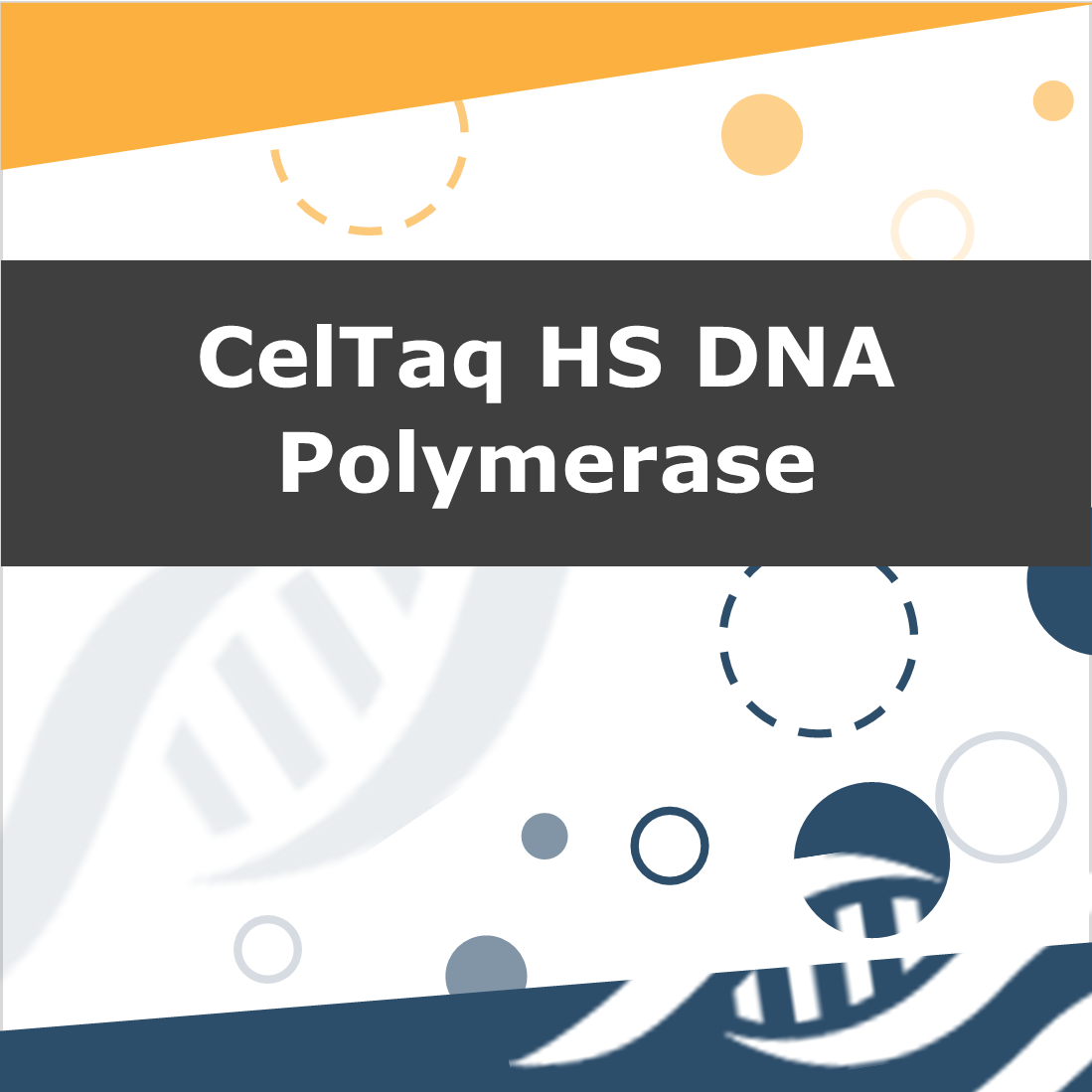 CelTaq HS DNA Polymerase