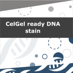 CelGel ready DNA stain