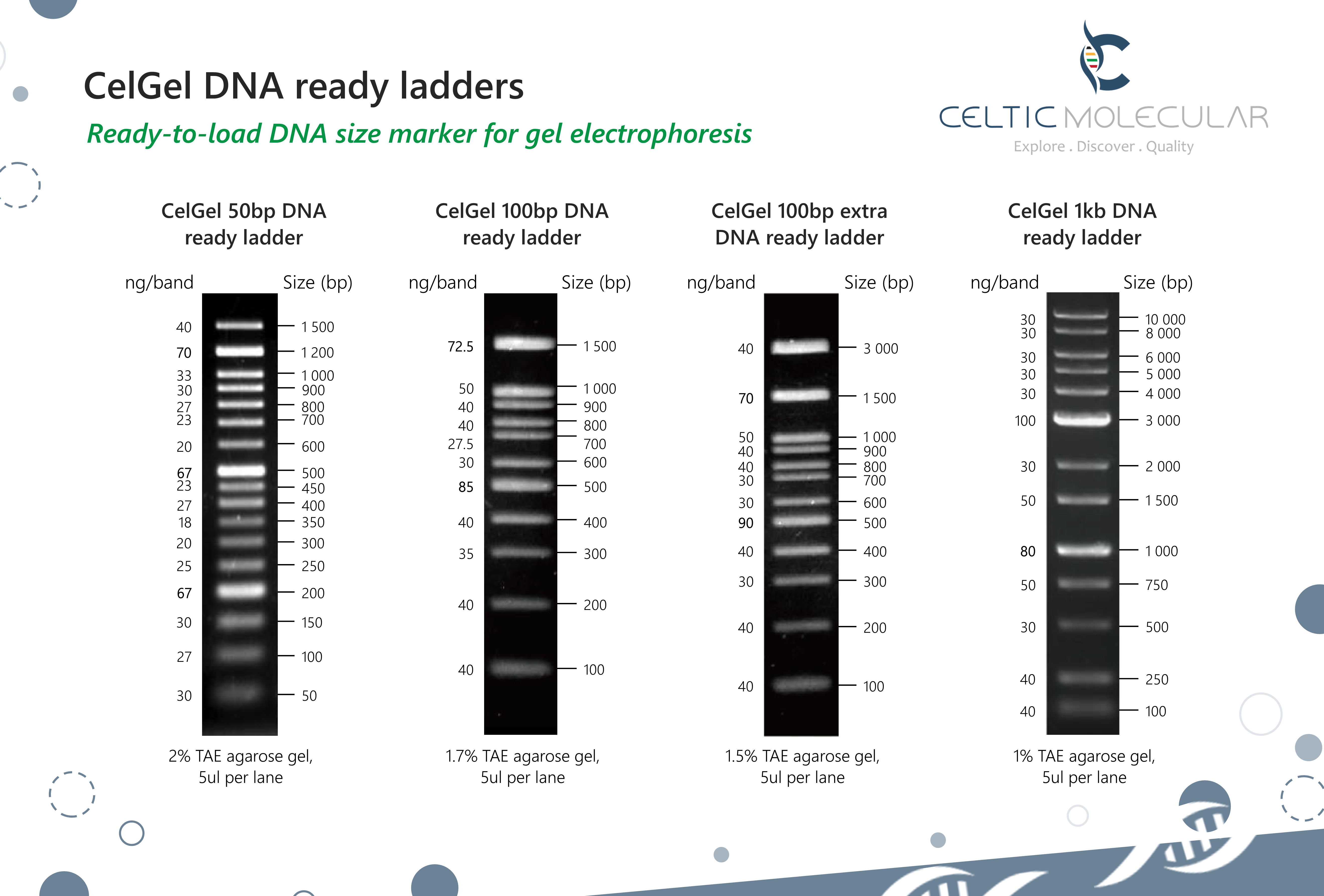 CelGel DNA ready ladders - Image 2